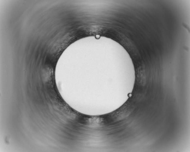 X0000103910225200810031220