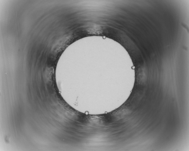 X0000103910229200810031220
