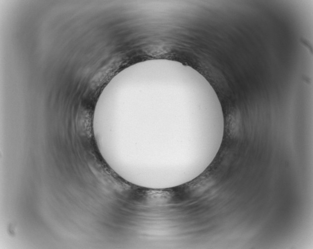 X0000103910234200810031220
