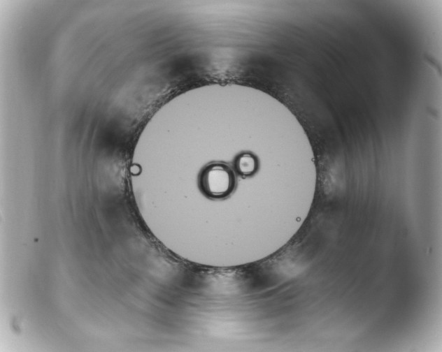 X0000103910235200810031220