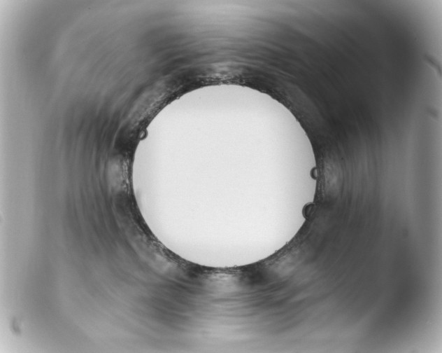 X0000103910236200810031220
