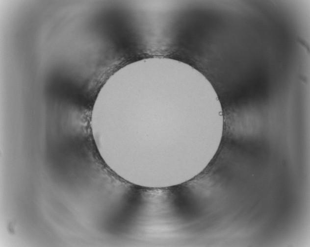 X0000103910237200810031220