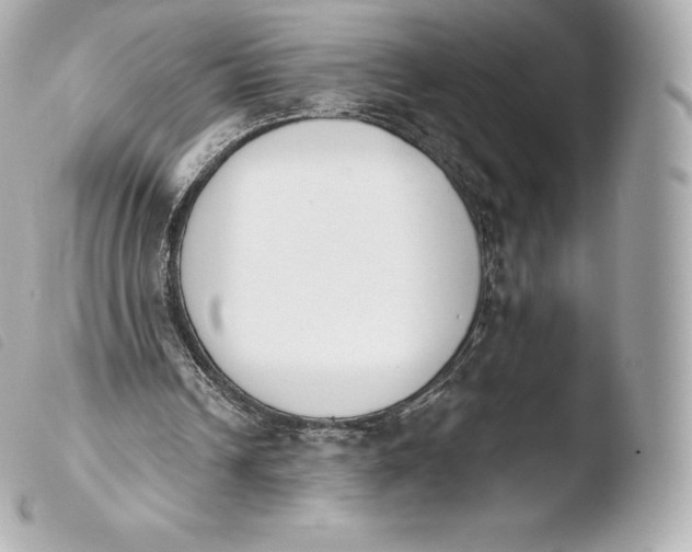 X0000103910242200810031219