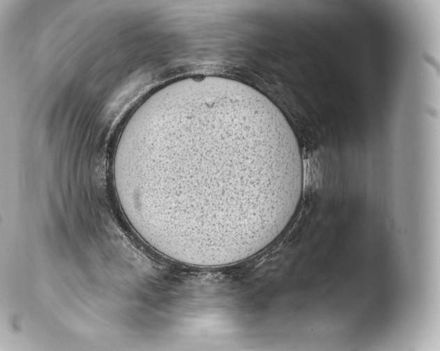X0000103910243200810031219