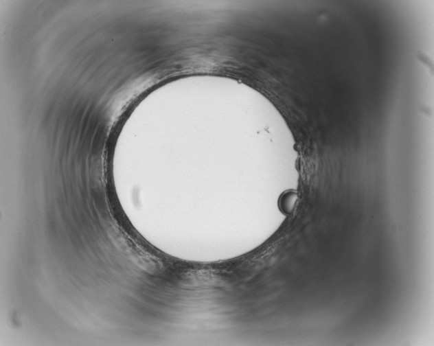 X0000103910244200810031219