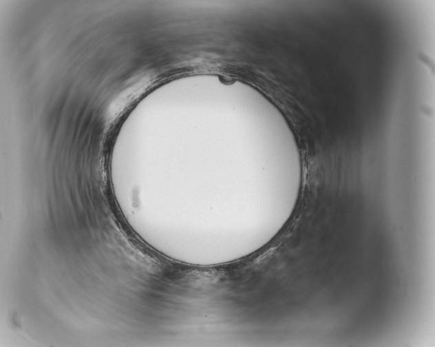 X0000103910245200810031219