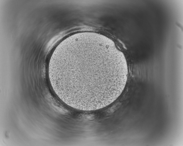 X0000103910247200810031219