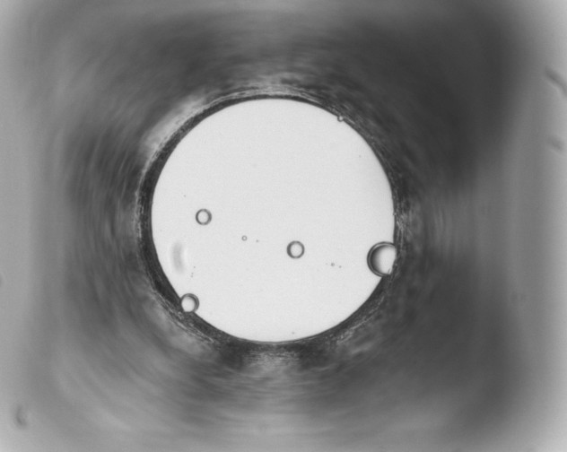 X0000103910248200810031219