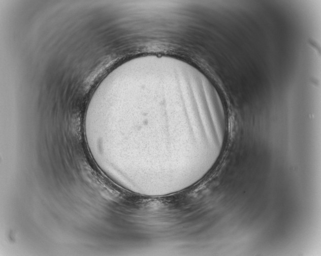 X0000103910249200810031219