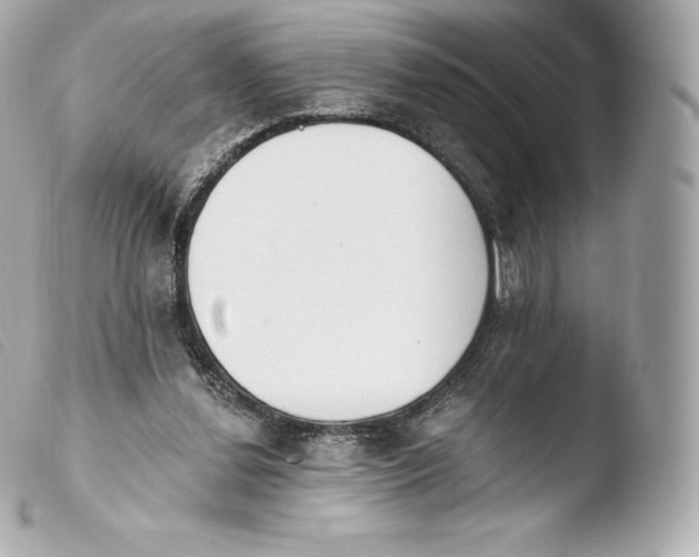 X0000103910252200810031219