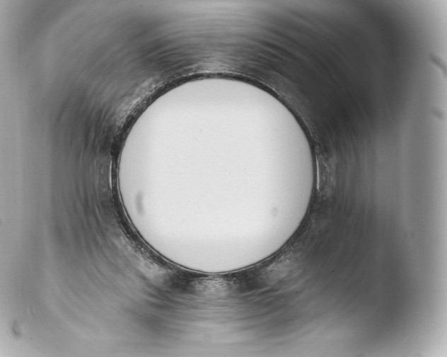 X0000103910253200810031219