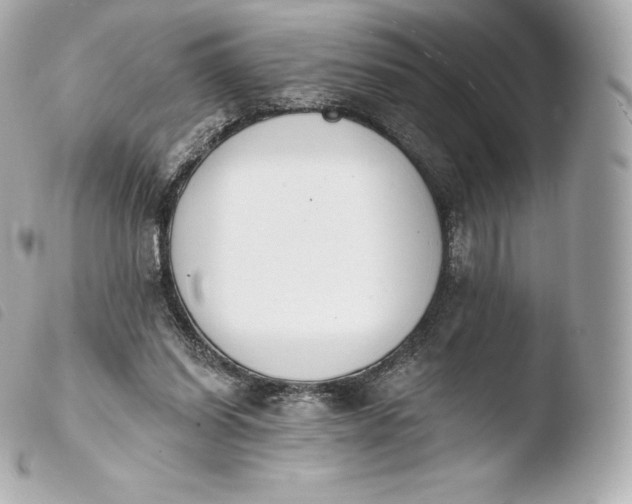 X0000103910254200810031219