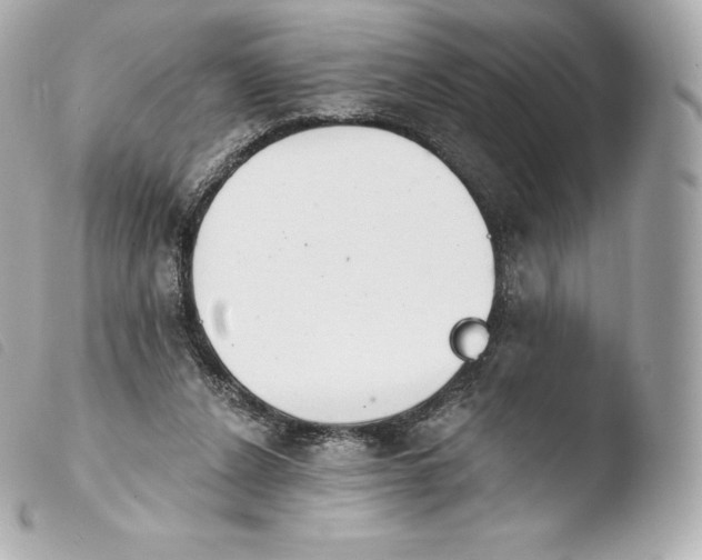 X0000103910256200810031220