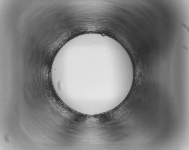 X0000103910257200810031220