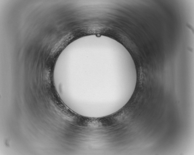 X0000103910258200810031220