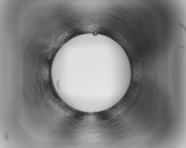 X0000103910259200810031220