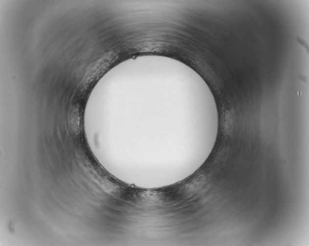 X0000103910261200810031220