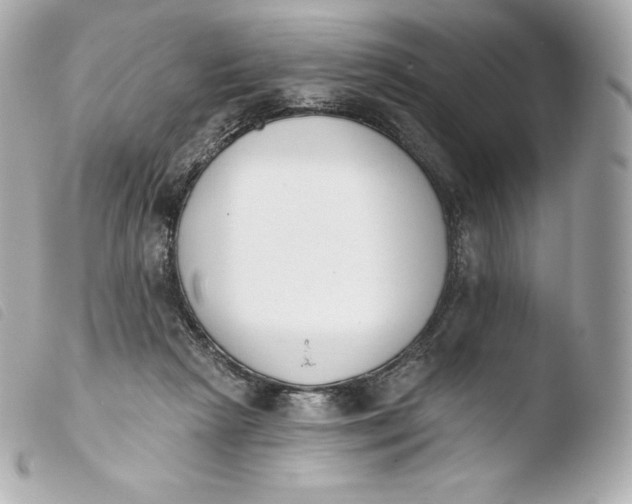 X0000103910265200810031220