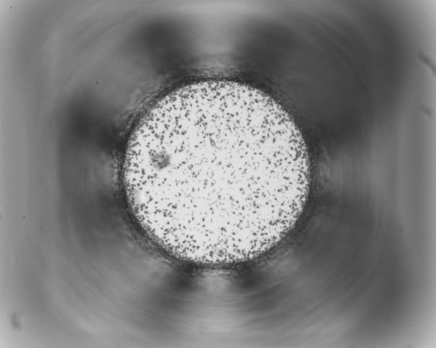 X0000103910268200810031220