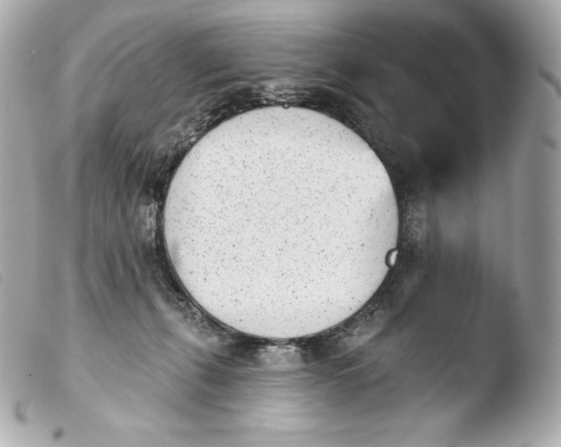 X0000103910271200810031220