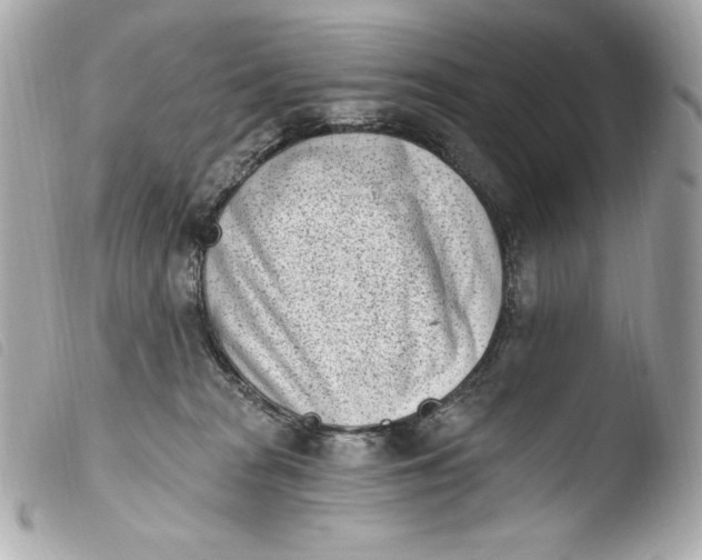 X0000103910277200810031220