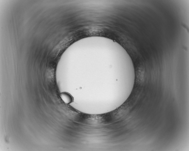 X0000103910278200810031220