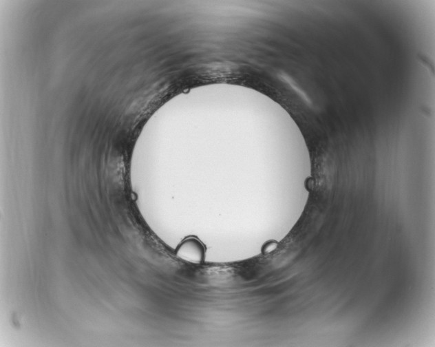 X0000103910279200810031220