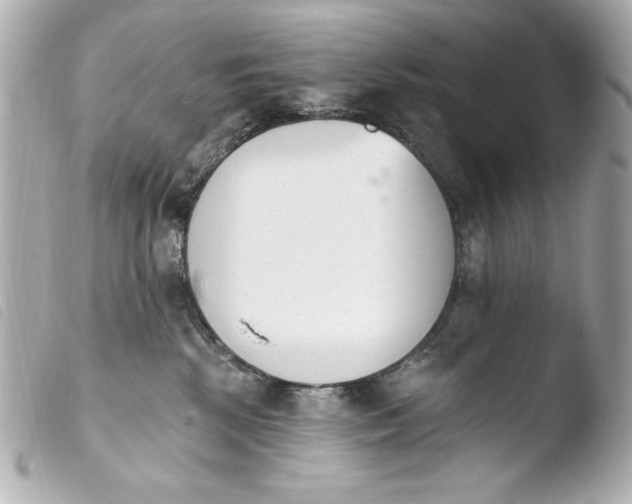 X0000103910281200810031220