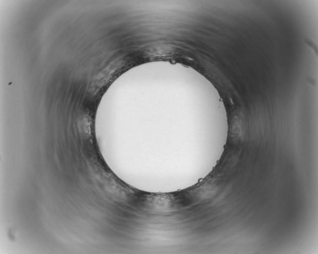 X0000103910282200810031220
