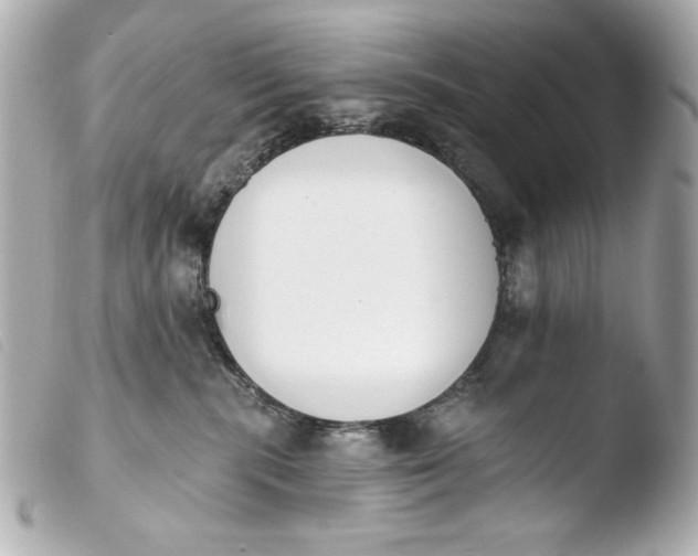 X0000103910283200810031220