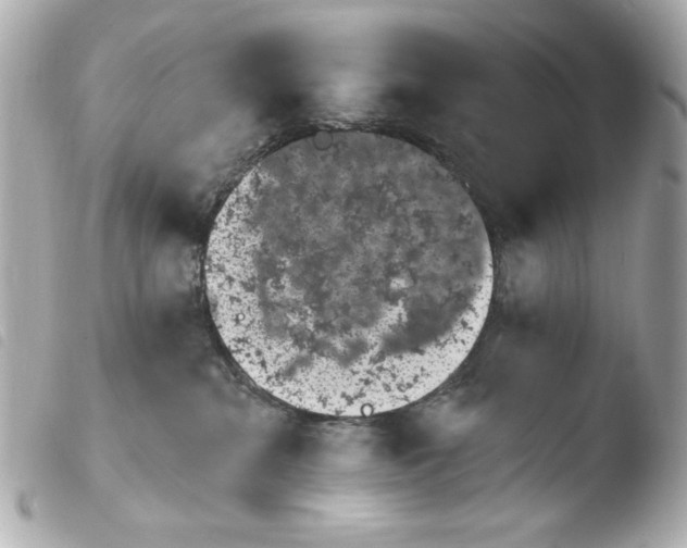X0000103910284200810031220