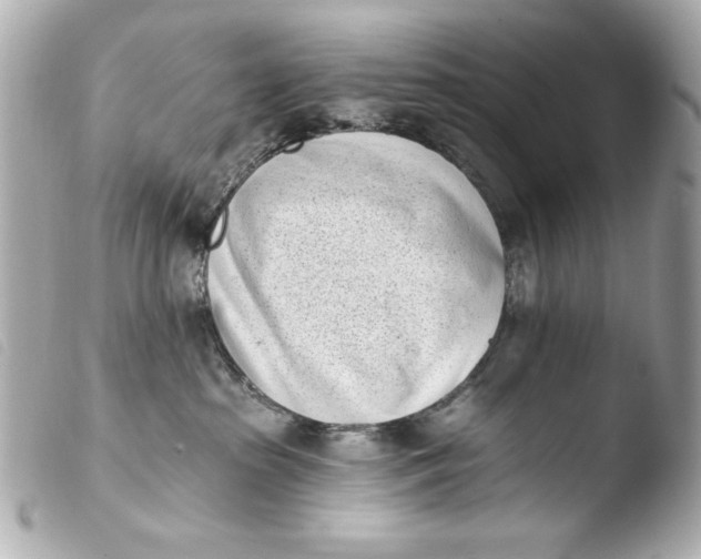 X0000103910285200810031220