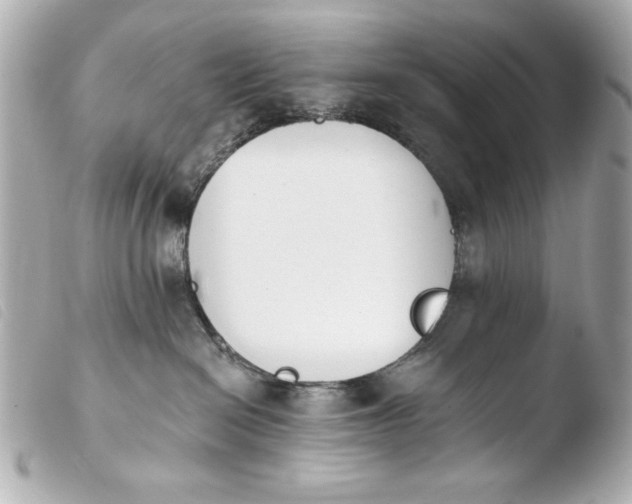 X0000103910286200810031220