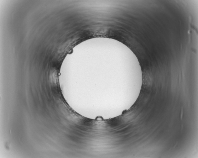X0000103910287200810031220