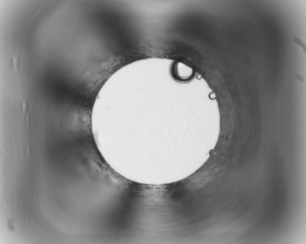 X0000103910288200810031220