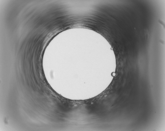 X0000103910289200810031219