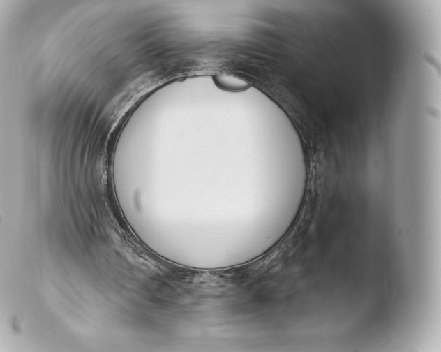 X0000103910290200810031219