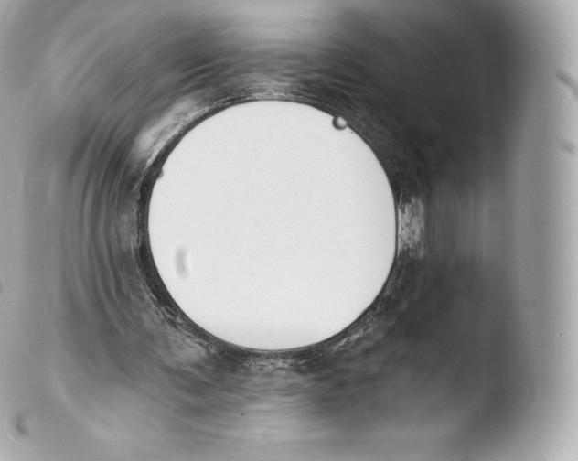 X0000103910291200810031219
