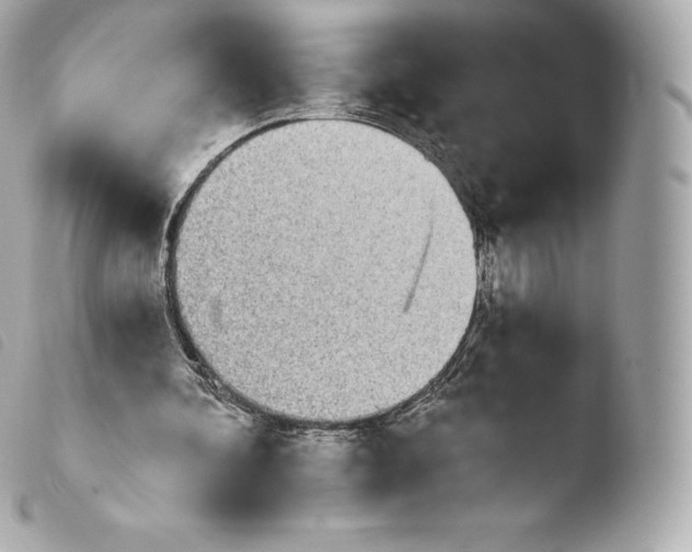 X0000103910292200810031219