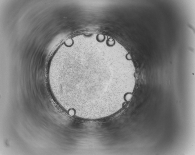 X0000103910293200810031219