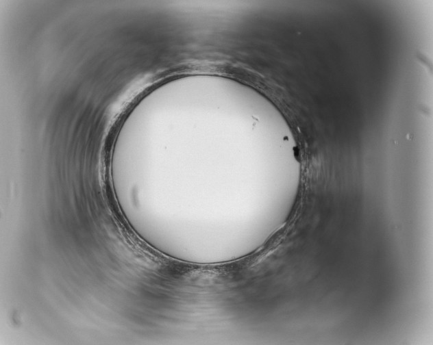 X0000103910294200810031219