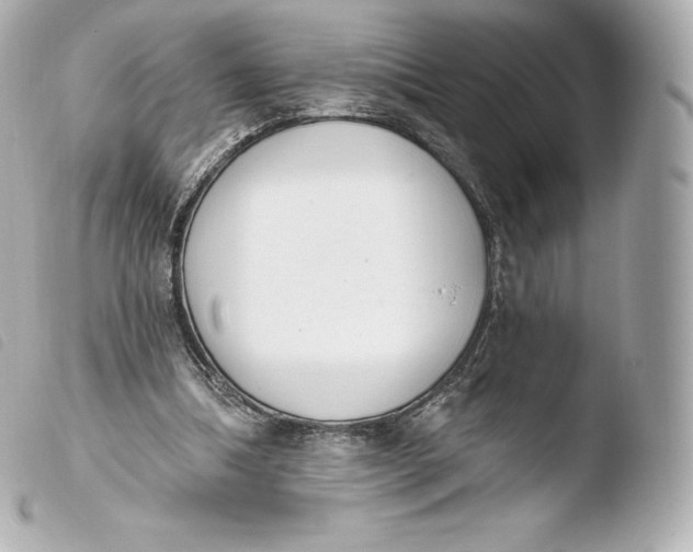 X0000103910298200810031219