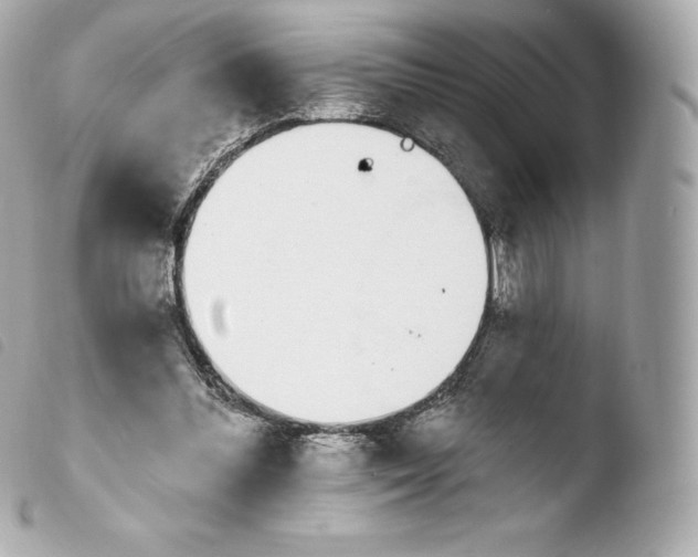 X0000103910300200810031219