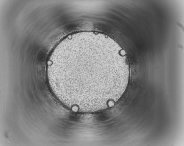 X0000103910301200810031219