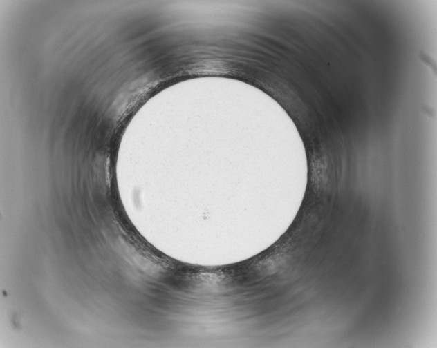 X0000103910302200810031219