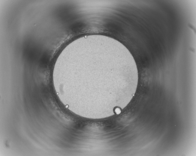 X0000103910304200810031219