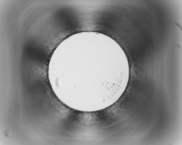 X0000103910305200810031219