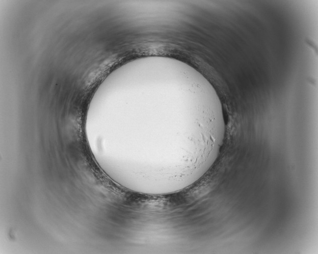 X0000103910306200810031219
