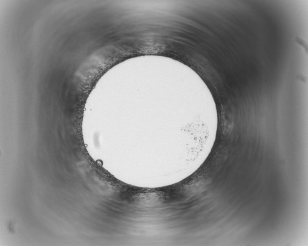 X0000103910307200810031219