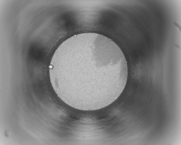 X0000103910308200810031219